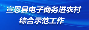 宣恩縣電子商務(wù)進(jìn)農(nóng)村綜合示范工作專(zhuān)欄